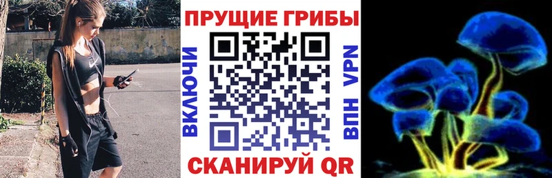 Галлюциногенные грибы мухоморы  Люберцы 
